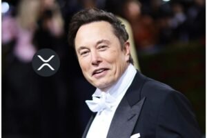 This Strong Cord Could Connect XRP to Elon Musk’s X-Money